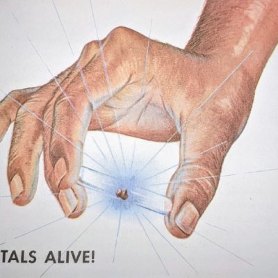 Will Surprising UN Findings Reignite Optimism For Nuclear Power?